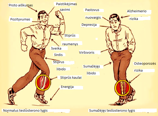 testosteronas vyrų hipertenzijai gydyti)